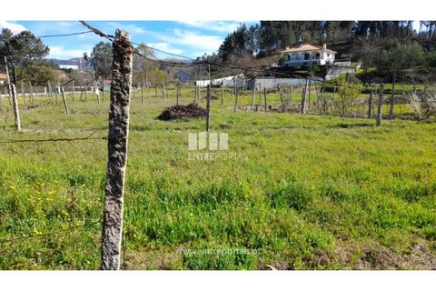 Helårsgrund i Amarante, Porto, Amarante - € 85.000 | Ref: MC09483 - foto 10