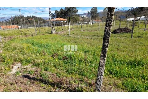 Helårsgrund i Amarante, Porto, Amarante - € 85.000 | Ref: MC09483 - foto 11