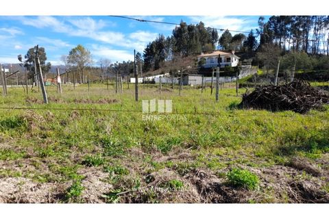 Helårsgrund i Amarante, Porto, Amarante - € 85.000 | Ref: MC09483 - foto 2