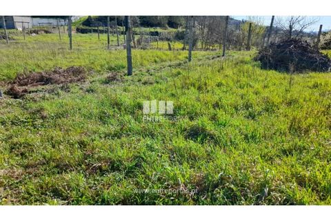 Helårsgrund i Amarante, Porto, Amarante - € 85.000 | Ref: MC09483 - foto 14