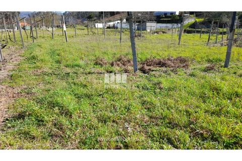Helårsgrund i Amarante, Porto, Amarante - € 85.000 | Ref: MC09483 - foto 15