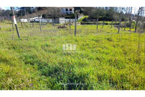 Helårsgrund i Amarante, Porto, Amarante - € 85.000 | Ref: MC09483 - foto 18