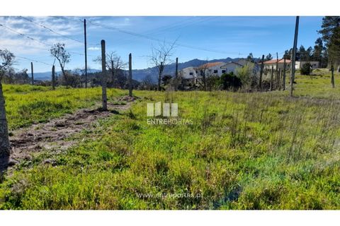 Helårsgrund i Amarante, Porto, Amarante - € 85.000 | Ref: MC09483 - foto 20