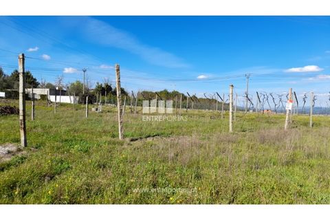 Helårsgrund i Amarante, Porto, Amarante - € 85.000 | Ref: MC09483 - foto 24