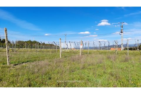 Helårsgrund i Amarante, Porto, Amarante - € 85.000 | Ref: MC09483 - foto 25
