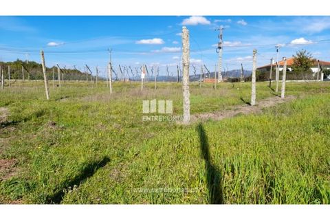 Helårsgrund i Amarante, Porto, Amarante - € 85.000 | Ref: MC09483 - foto 28