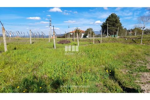 Helårsgrund i Amarante, Porto, Amarante - € 85.000 | Ref: MC09483 - foto 29