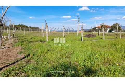 Helårsgrund i Amarante, Porto, Amarante - € 85.000 | Ref: MC09483 - foto 30