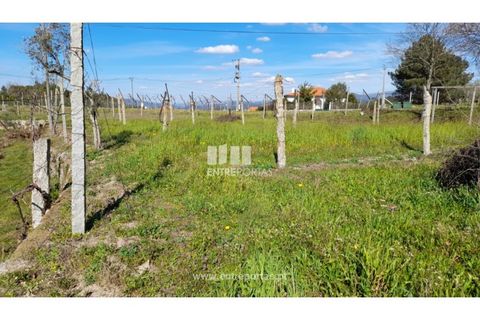 Helårsgrund i Amarante, Porto, Amarante - € 85.000 | Ref: MC09483 - foto 23