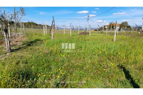 Helårsgrund i Amarante, Porto, Amarante - € 85.000 | Ref: MC09483 - foto 32