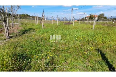 Helårsgrund i Amarante, Porto, Amarante - € 85.000 | Ref: MC09483 - foto 33