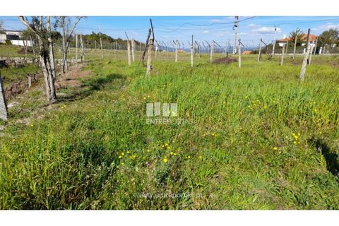 Helårsgrund i Amarante, Porto, Amarante - € 85.000 | Ref: MC09483 - foto 34