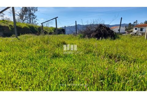 Helårsgrund i Amarante, Porto, Amarante - € 85.000 | Ref: MC09483 - foto 35