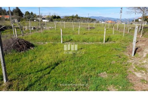 Helårsgrund i Amarante, Porto, Amarante - € 85.000 | Ref: MC09483 - foto 36