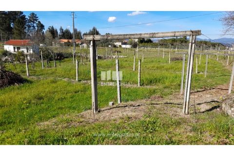 Helårsgrund i Amarante, Porto, Amarante - € 85.000 | Ref: MC09483 - foto 38