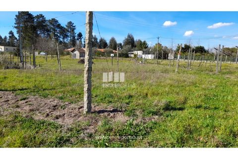 Helårsgrund i Amarante, Porto, Amarante - € 85.000 | Ref: MC09483 - foto 39