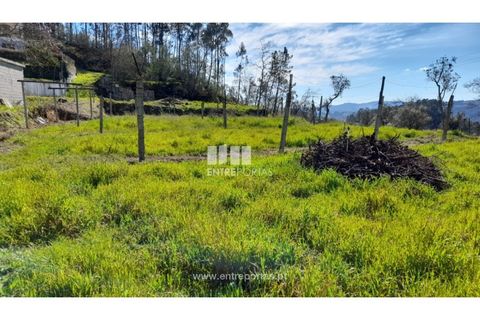 Helårsgrund i Amarante, Porto, Amarante - € 85.000 | Ref: MC09483 - foto 41