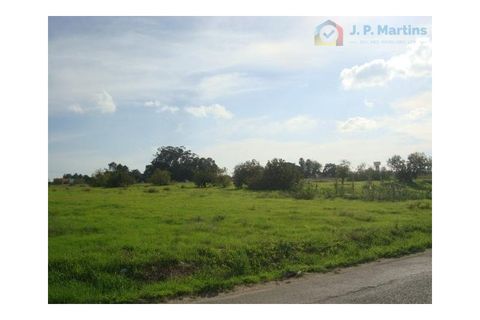 Helårsgrund i Montijo, Setubal, Montijo - € 2.700.000 | Ref: ZMT212 - foto 4