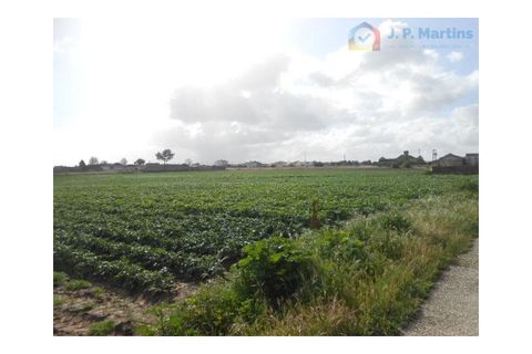 Helårsgrund i Montijo, Setubal, Montijo - € 2.700.000 | Ref: ZMT212 - foto 3