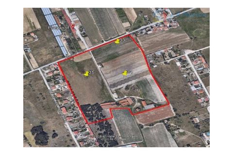 Helårsgrund i Montijo, Setubal, Montijo - € 2.700.000 | Ref: ZMT212 - foto 2
