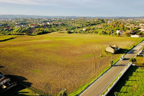 Helårsgrund i Tomar, Santarem, Tomar - € 300.000 | Ref: VCP128 - foto 2