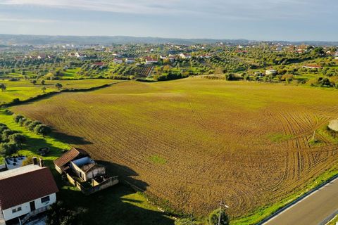 Helårsgrund i Tomar, Santarem, Tomar - € 300.000 | Ref: VCP128 - foto 3