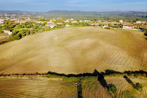 Helårsgrund i Tomar, Santarem, Tomar - € 300.000 | Ref: VCP128 - foto 5