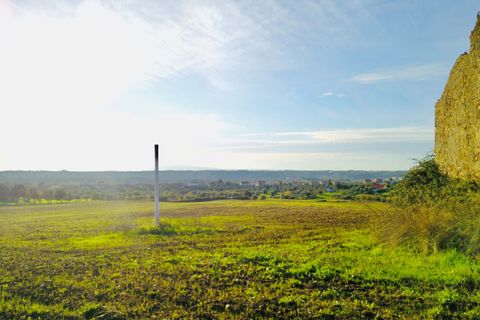 Helårsgrund i Tomar, Santarem, Tomar - € 300.000 | Ref: VCP128 - foto 6