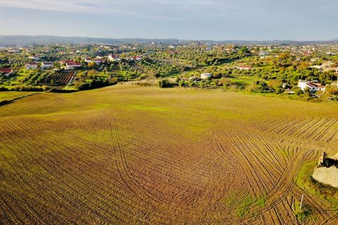 Helårsgrund i Tomar, Santarem, Tomar - € 300.000 | Ref: VCP128 - foto 8