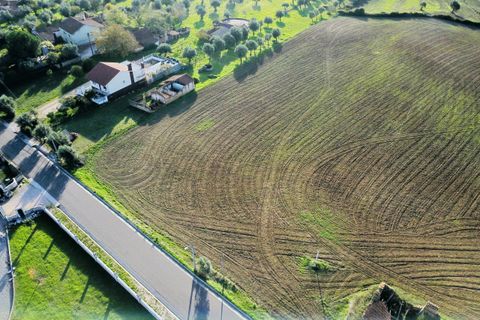 Helårsgrund i Tomar, Santarem, Tomar - € 300.000 | Ref: VCP128 - foto 9