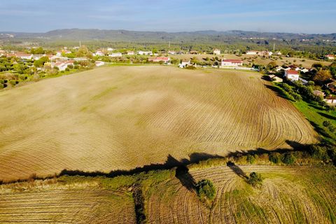Helårsgrund i Tomar, Santarem, Tomar - € 300.000 | Ref: VCP128 - foto 10