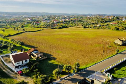 Helårsgrund i Tomar, Santarem, Tomar - € 300.000 | Ref: VCP128 - foto 14