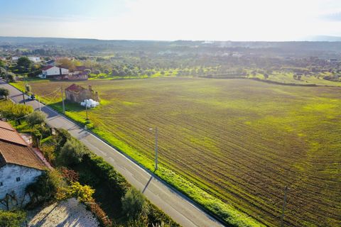 Helårsgrund i Tomar, Santarem, Tomar - € 300.000 | Ref: VCP128 - foto 15