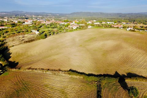 Helårsgrund i Tomar, Santarem, Tomar - € 300.000 | Ref: VCP128 - foto 16