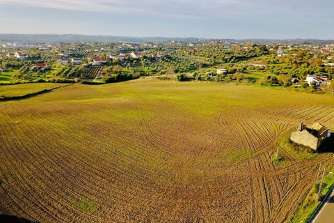 Helårsgrund i Tomar, Santarem, Tomar - € 300.000 | Ref: VCP128 - foto 17