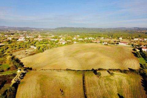 Helårsgrund i Tomar, Santarem, Tomar - € 300.000 | Ref: VCP128 - foto 21
