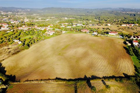 Helårsgrund i Tomar, Santarem, Tomar - € 300.000 | Ref: VCP128 - foto 23