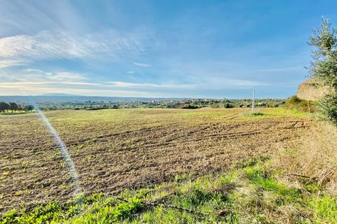 Helårsgrund i Tomar, Santarem, Tomar - € 300.000 | Ref: VCP128 - foto 24