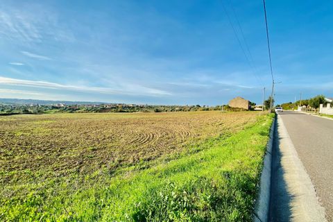 Helårsgrund i Tomar, Santarem, Tomar - € 300.000 | Ref: VCP128 - foto 26