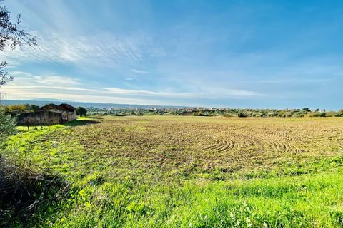 Helårsgrund i Tomar, Santarem, Tomar - € 300.000 | Ref: VCP128 - foto 28