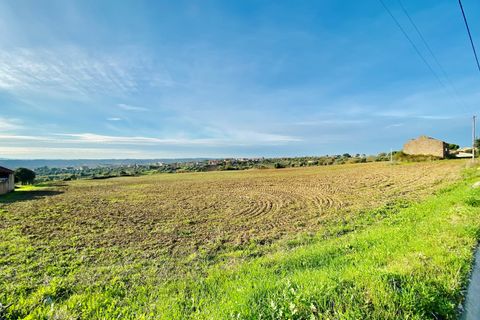 Helårsgrund i Tomar, Santarem, Tomar - € 300.000 | Ref: VCP128 - foto 29