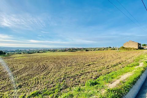 Helårsgrund i Tomar, Santarem, Tomar - € 300.000 | Ref: VCP128 - foto 30