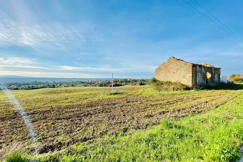 Helårsgrund i Tomar, Santarem, Tomar - € 300.000 | Ref: VCP128 - foto 31