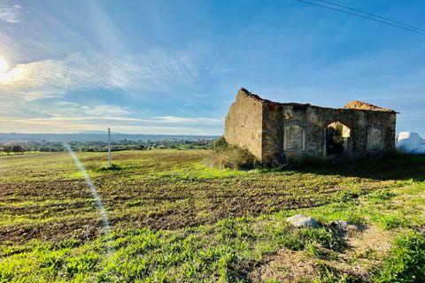 Helårsgrund i Tomar, Santarem, Tomar - € 300.000 | Ref: VCP128 - foto 32