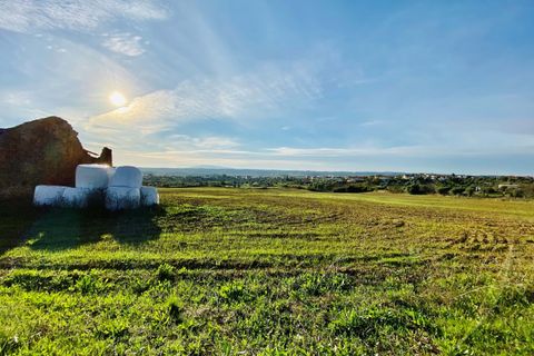 Helårsgrund i Tomar, Santarem, Tomar - € 300.000 | Ref: VCP128 - foto 33