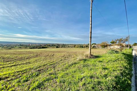 Helårsgrund i Tomar, Santarem, Tomar - € 300.000 | Ref: VCP128 - foto 34