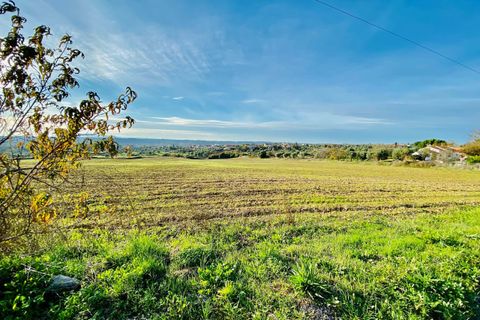 Helårsgrund i Tomar, Santarem, Tomar - € 300.000 | Ref: VCP128 - foto 35