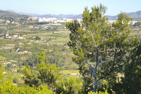 Helårsgrund i Benissa, Alicante, Benissa - € 180.000 | Ref: P114 - foto 15