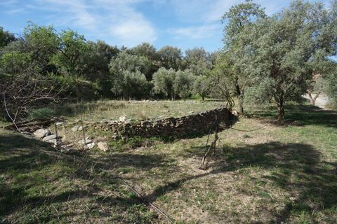Bondgård i Almegijar, Granada - foto 3
