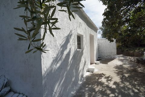 Bondgård i Almegijar, Granada - foto 5